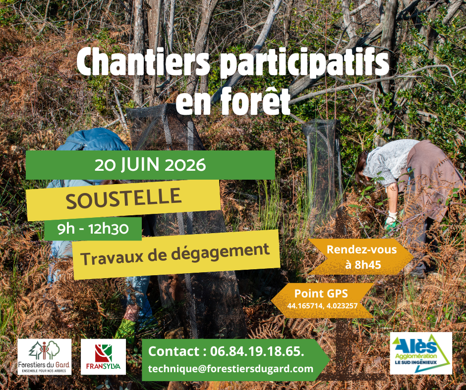 vignette Premier chantier participatif de la saison 2026